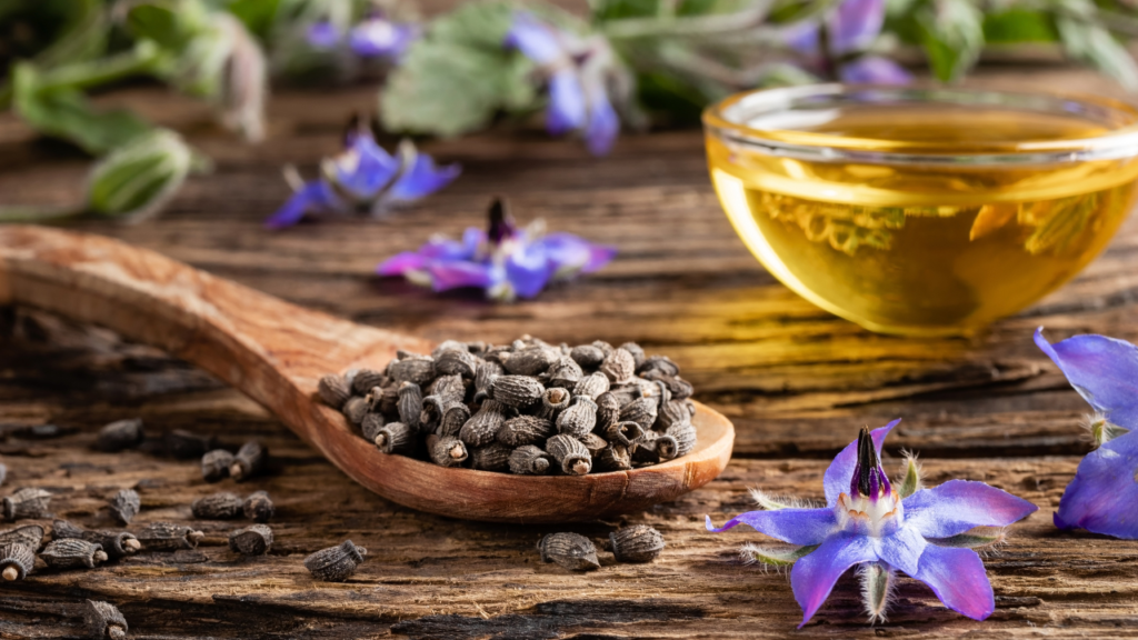 Borage Seed Oil